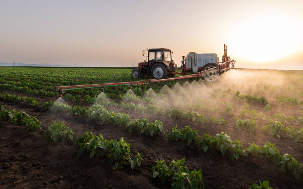 Fredonia, AZ Pest Control Company