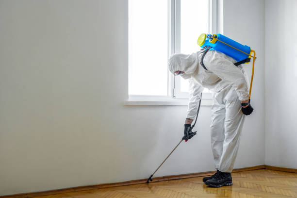 Best Cockroach Control Services  in Fredonia, AZ
