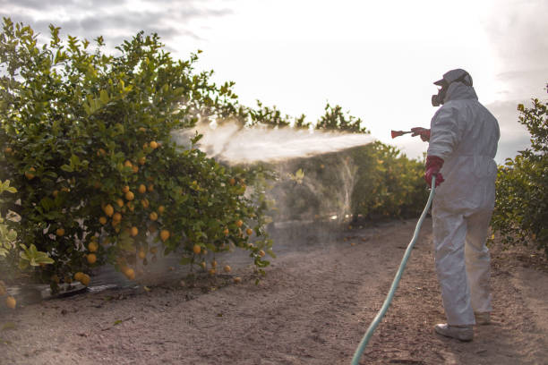 Best Wasp Removal Services  in Fredonia, AZ